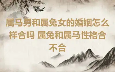 属马男和属兔女的婚姻怎么样合吗 属兔和属马性格合不合