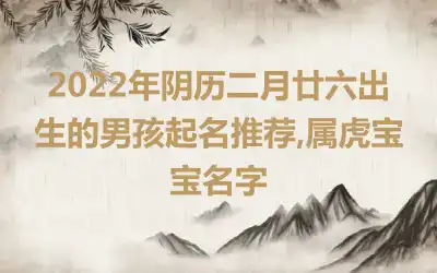 2022年阴历二月廿六出生的男孩起名推荐,属虎宝宝名字