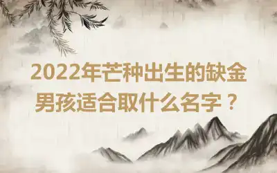 2022年芒种出生的缺金男孩适合取什么名字？
