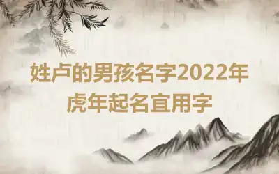 姓卢的男孩名字2022年 虎年起名宜用字