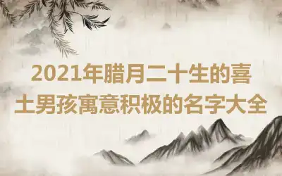 2021年腊月二十生的喜土男孩寓意积极的名字大全