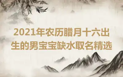 2021年农历腊月十六出生的男宝宝缺水取名精选