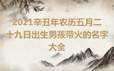 2021辛丑年农历五月二十九日出生男孩带火的名字大全