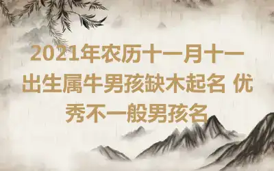 2021年农历十一月十一出生属牛男孩缺木起名 优秀不一般男孩名