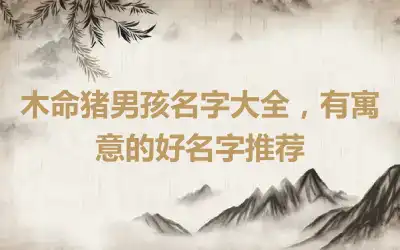 木命猪男孩名字大全，有寓意的好名字推荐