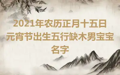 2021年农历正月十五日元宵节出生五行缺木男宝宝名字