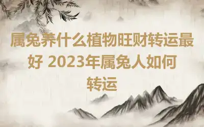 属兔养什么植物旺财转运最好 2023年属兔人如何转运
