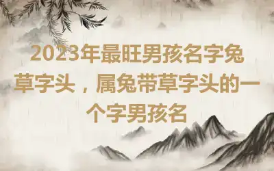 2023年最旺男孩名字兔草字头，属兔带草字头的一个字男孩名