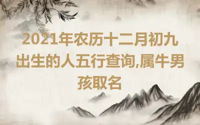 2021年农历十二月初九出生的人五行查询,属牛男孩取名