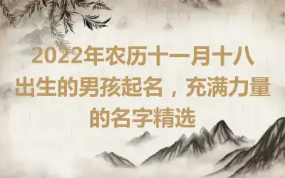 2022年农历十一月十八出生的男孩起名，充满力量的名字精选