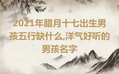 2021年腊月十七出生男孩五行缺什么,洋气好听的男孩名字