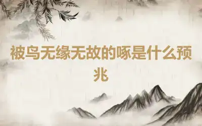 被鸟无缘无故的啄是什么预兆