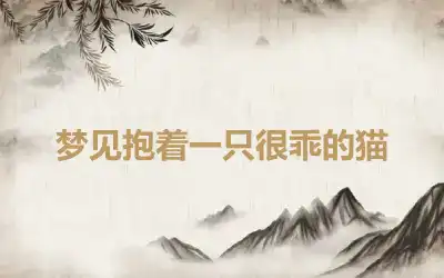 梦见抱着一只很乖的猫