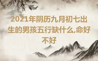 2021年阴历九月初七出生的男孩五行缺什么,命好不好