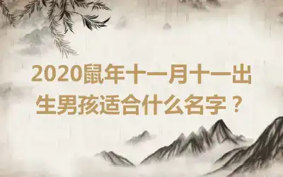 2020鼠年十一月十一出生男孩适合什么名字？
