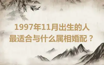 1997年11月出生的人最适合与什么属相婚配？