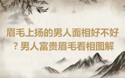 眉毛上扬的男人面相好不好？男人富贵眉毛看相图解