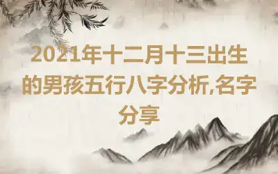 2021年十二月十三出生的男孩五行八字分析,名字分享