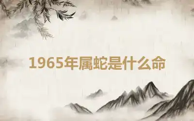 1965年属蛇是什么命