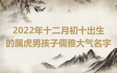 2022年十二月初十出生的属虎男孩子儒雅大气名字