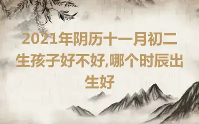 2021年阴历十一月初二生孩子好不好,哪个时辰出生好