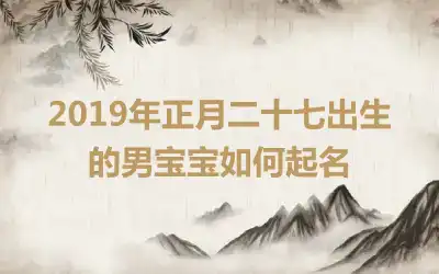 2019年正月二十七出生的男宝宝如何起名