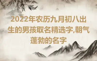 2022年农历九月初八出生的男孩取名精选字,朝气蓬勃的名字