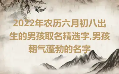 2022年农历六月初八出生的男孩取名精选字,男孩朝气蓬勃的名字
