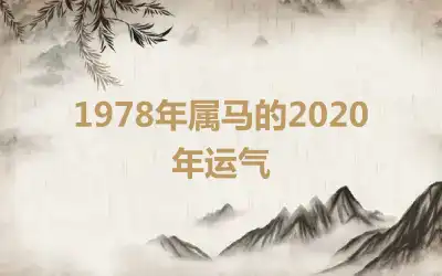 1978年属马的2020年运气