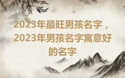 2023年最旺男孩名字，2023年男孩名字寓意好的名字