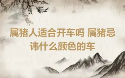 属猪人适合开车吗 属猪忌讳什么颜色的车