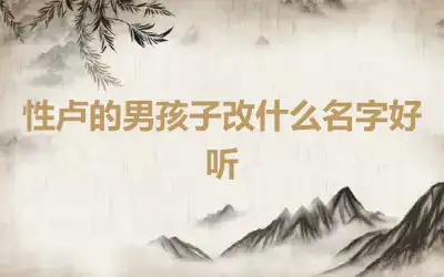 性卢的男孩子改什么名字好听