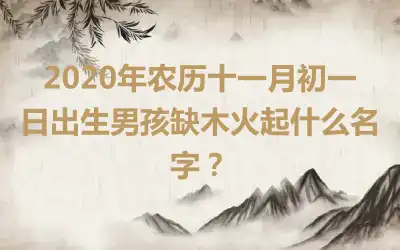 2020年农历十一月初一日出生男孩缺木火起什么名字?