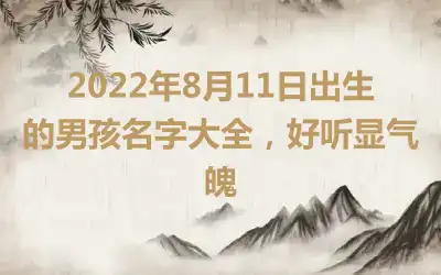 2022年8月11日出生的男孩名字大全，好听显气魄