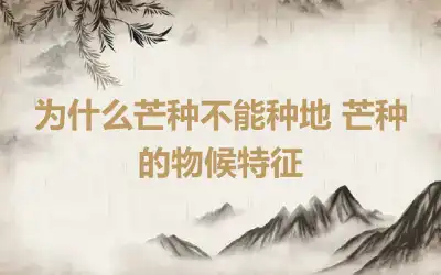 为什么芒种不能种地 芒种的物候特征