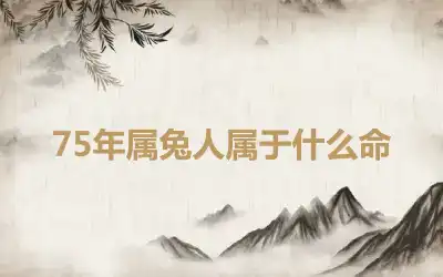 75年属兔人属于什么命