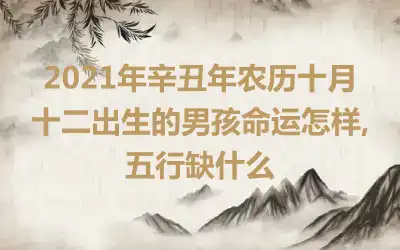 2021年辛丑年农历十月十二出生的男孩命运怎样,五行缺什么