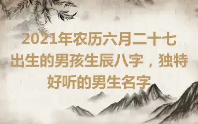 2021年农历六月二十七出生的男孩生辰八字,独特好听的男生名字
