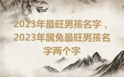 2023年最旺男孩名字，2023年属兔最旺男孩名字两个字